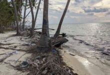 Environmental Challenges Facing the Maldives: Rising Sea Levels