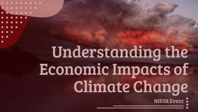 Expert Analysis: The Economic Implications of Climate Change