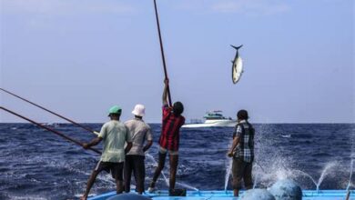 Fisheries Sector in the Maldives: Latest Developments