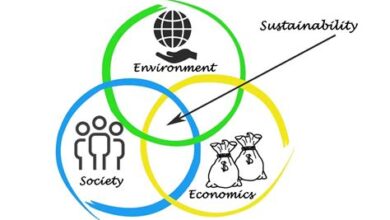 Green Business Models: Sustainability in Practice