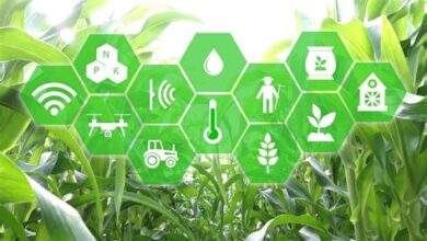 How Technology is Transforming Agriculture