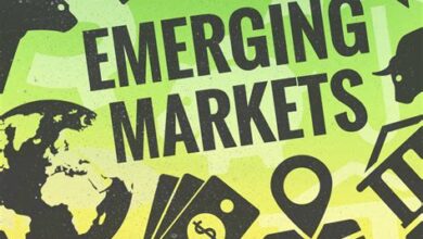 Investing in Emerging Markets: Opportunities and Risks