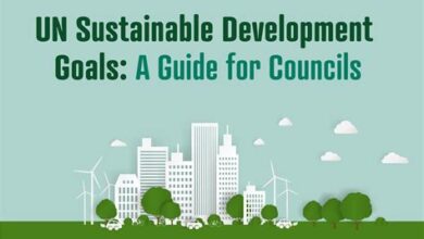 The Role of Local Governments in Sustainable Development