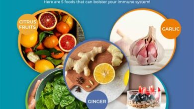 The Best Foods for Boosting Your Immune System