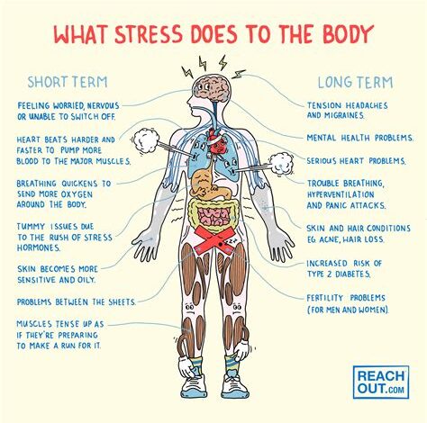 The Impact of Stress on Physical Health and How to Manage It