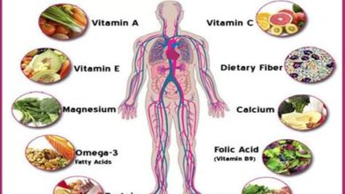 The Role of Vitamins and Minerals in Physical Health