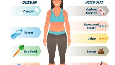 Understanding Metabolism and How to Boost It